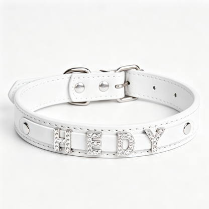 Personalized Letter Dog Collar with Rhinestone Charms