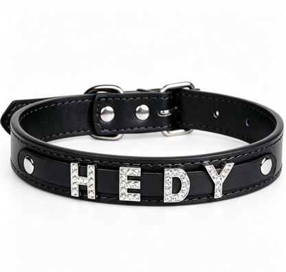 Personalized Letter Dog Collar with Rhinestone Charms