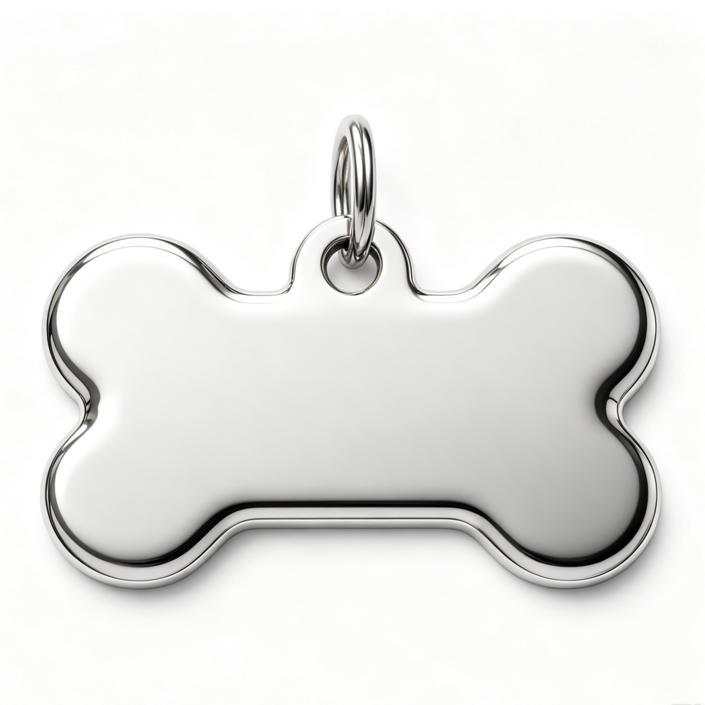 Personalized Stainless Steel Bone-Shaped Pet ID Tag