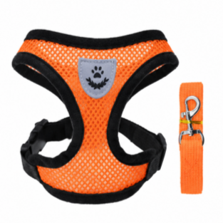 Mesh Pet Harness and Leash Set – Breathable No-Pull Vest for Dogs