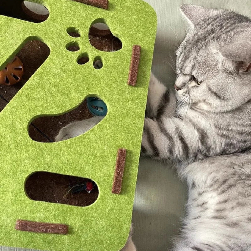 2026 Cat Scratch Puzzle Enrichment Box – Interactive Nail Filing & Scratch Toy for Indoor Cats, Stress‑Free Claw Care & Play