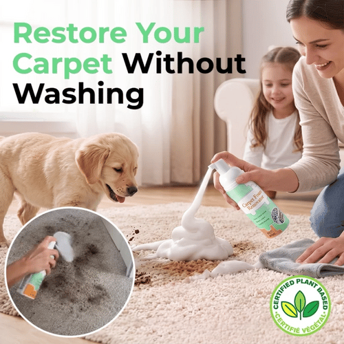 Waterless Foam Carpet Stain Remover — Remove Stubborn Stains In Minutes