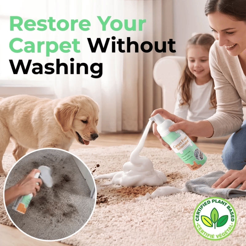 Waterless Foam Carpet Stain Remover — Remove Stubborn Stains In Minutes